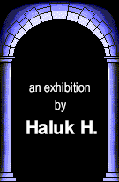 An Exhibition by Haluk H.
